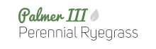 Palmer III Perennial Ryegrass