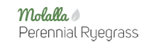 Molalla Perennial Ryegrass