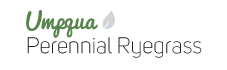 Umpqua Perennial Ryegrass